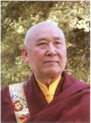 拙火和金刚禅大成就者开初仁波且恭赞第三世多杰羌佛是法界的最高怙主-图片1