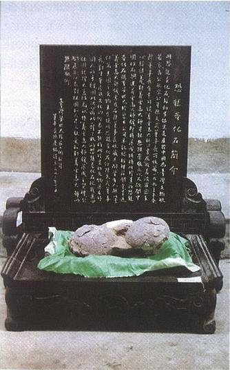 第三世多杰羌佛云高益西诺布获颁“ 特级国际大师” 证-图片4