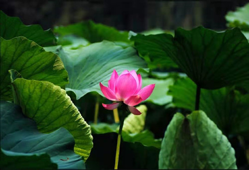 真修实行后的蜕变